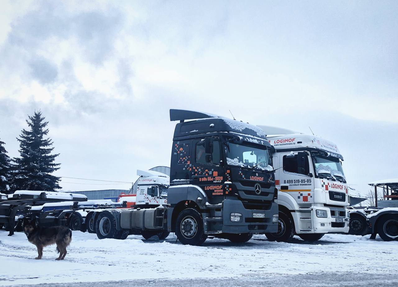 Какой прицеп выбрать для перевозки контейнеров?