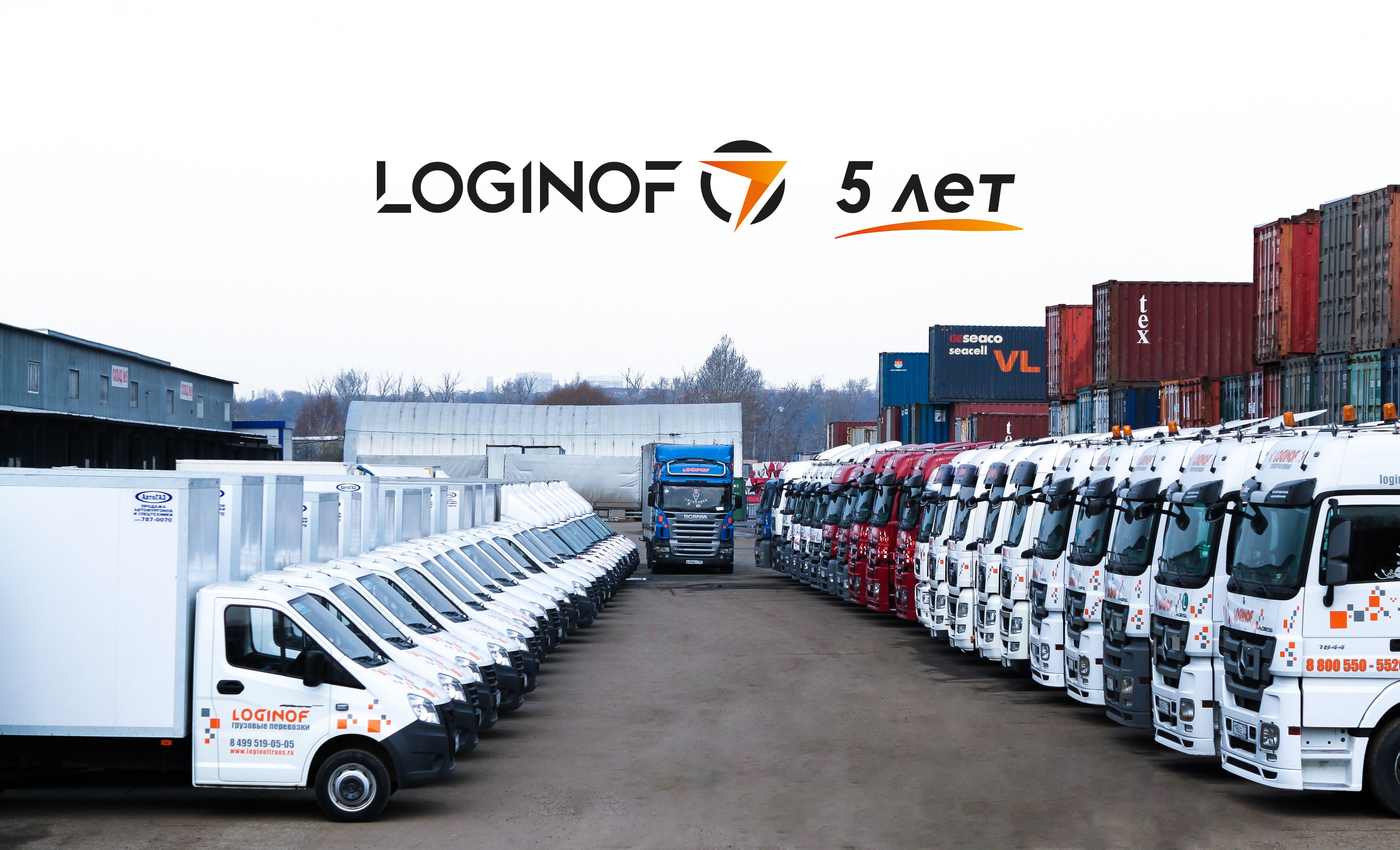 «Loginof» - 5 лет!